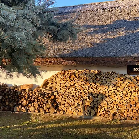 Nadfedeles Haziko Holiday home *